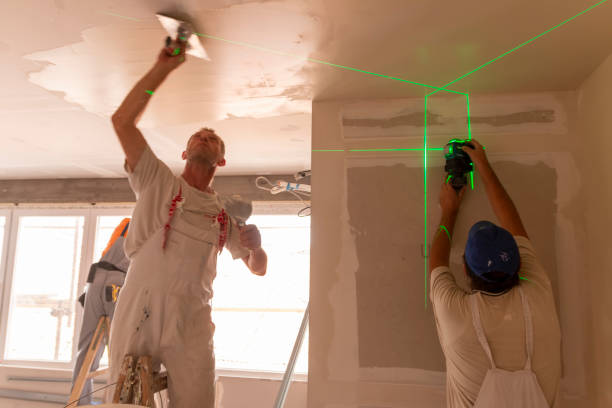Best Black Mold Removal  in Coal City, WV