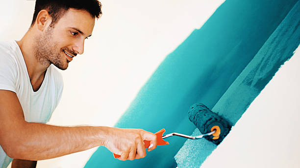 Best Mold Damage Restoration  in Coal City, WV